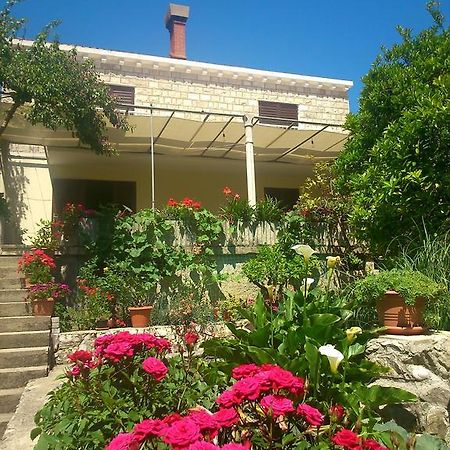 Antun Mozara Family House Bed & Breakfast Слано Екстериор снимка