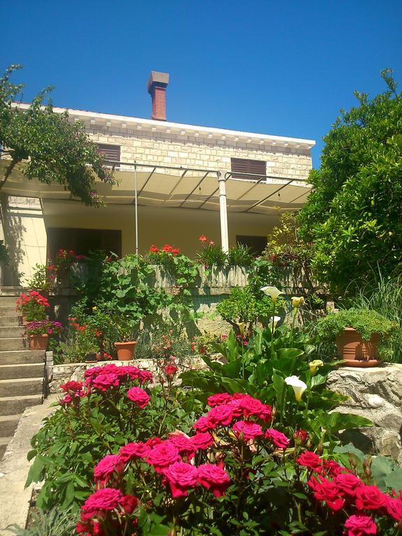 Antun Mozara Family House Bed & Breakfast Слано Екстериор снимка