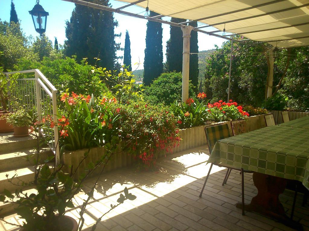 Antun Mozara Family House Bed & Breakfast Слано Екстериор снимка