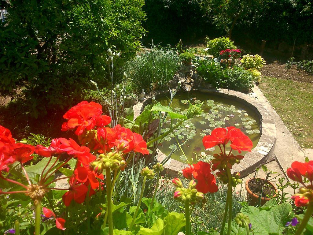 Antun Mozara Family House Bed & Breakfast Слано Екстериор снимка