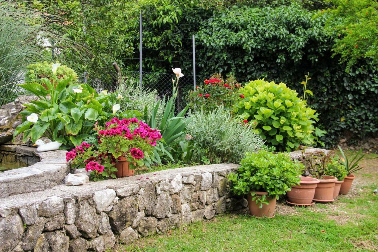 Antun Mozara Family House Bed & Breakfast Слано Екстериор снимка