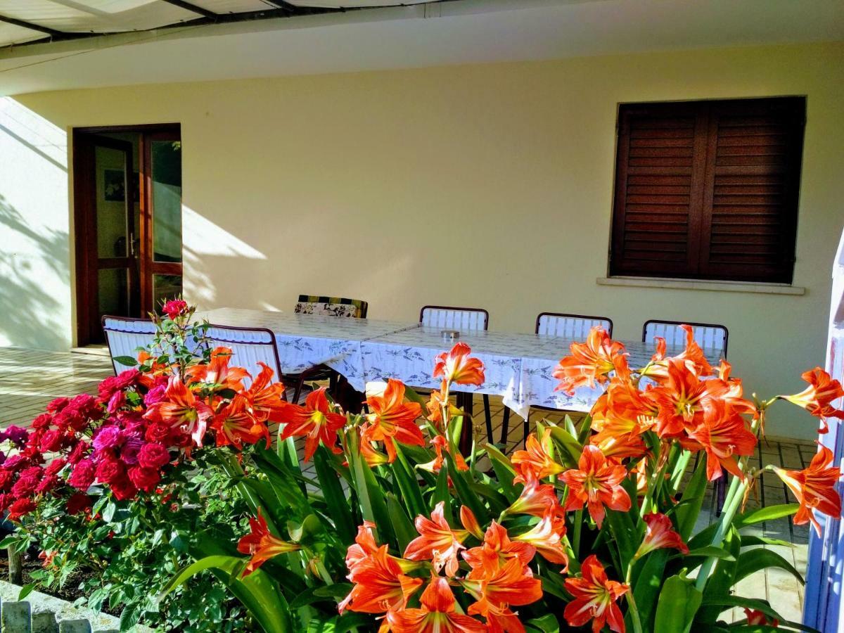 Antun Mozara Family House Bed & Breakfast Слано Екстериор снимка